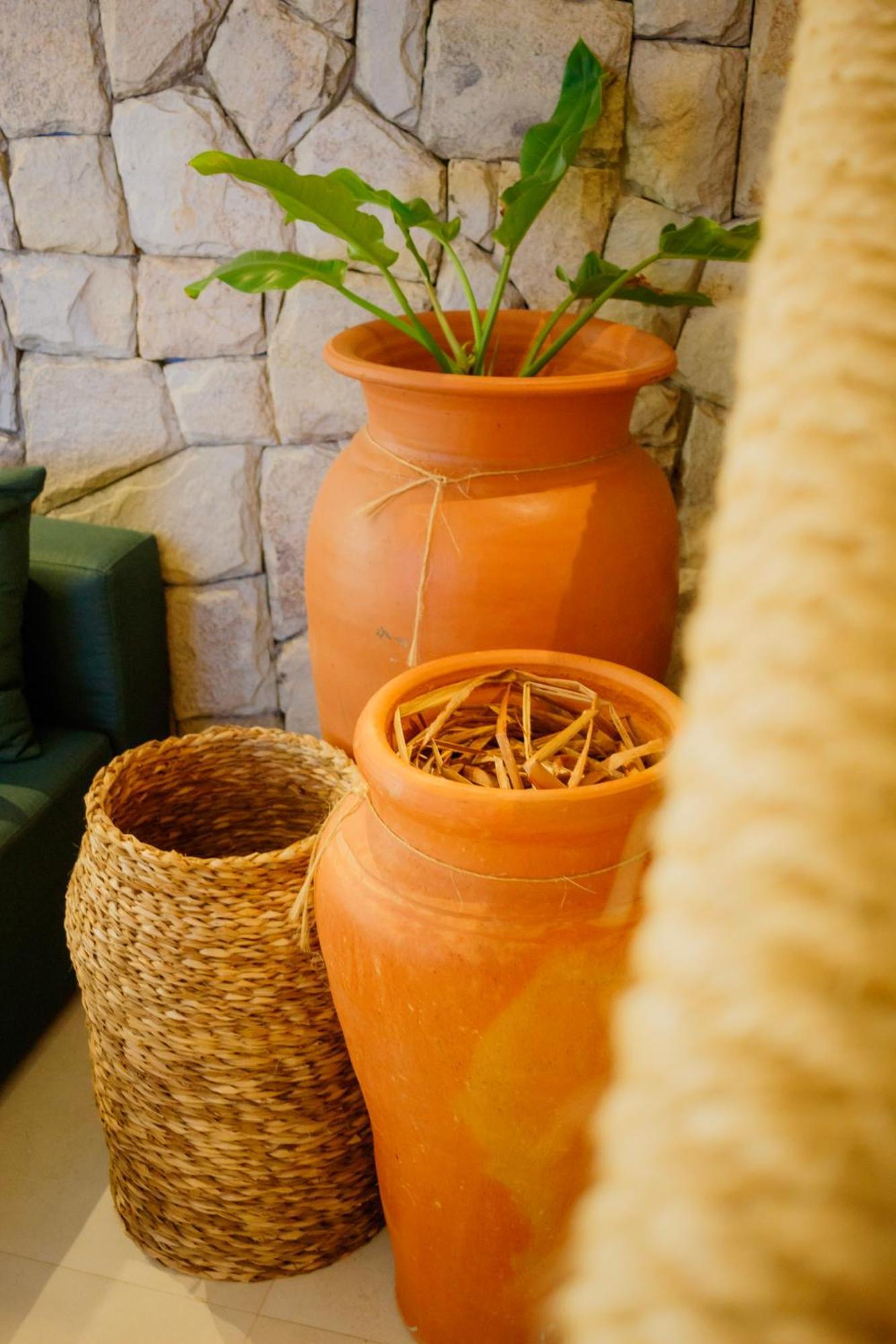 Kasa Milagres - Rota Ecologica Dos Milagres Villa Sao Miguel dos Milagres Luaran gambar